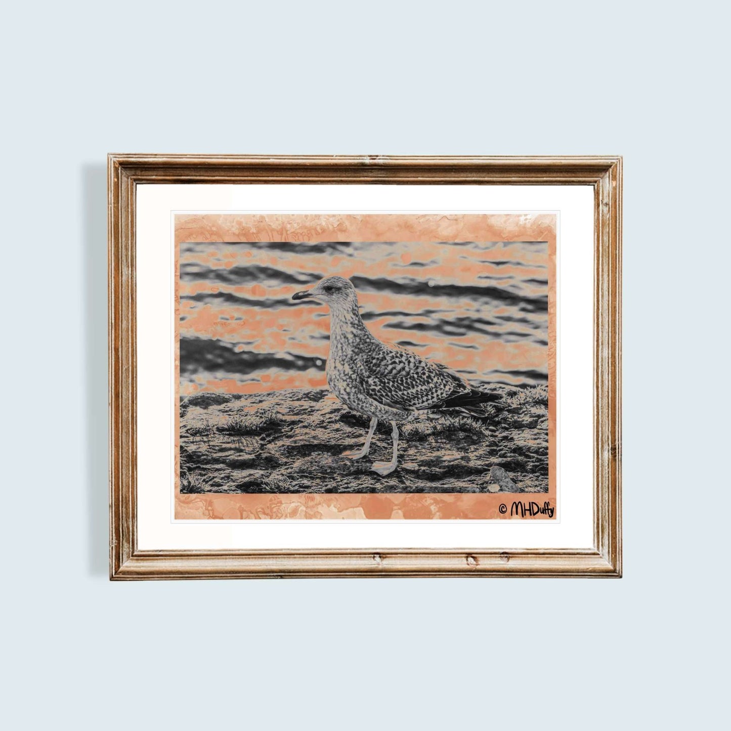 Irish Seagull Tea Stained